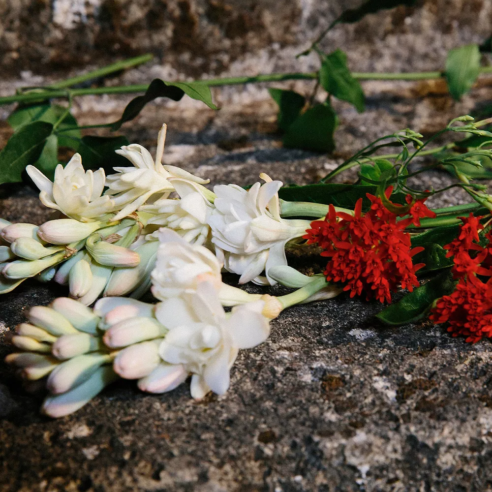 Gucci Bloom Eau De Parfum For Her - Image 6